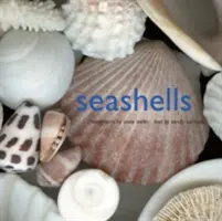 Conchas marinas - Seashells