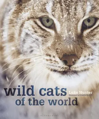 Gatos salvajes del mundo - Wild Cats of the World