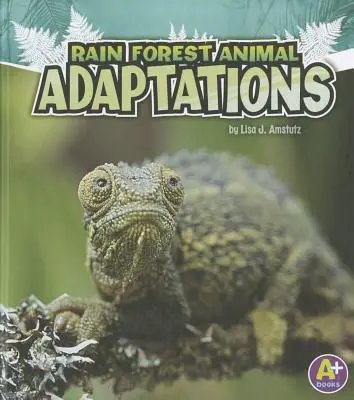 Adaptaciones de los animales de la selva tropical - Rain Forest Animal Adaptations