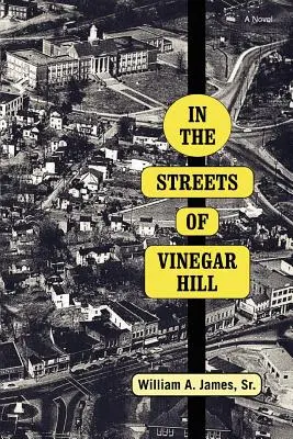 En las calles de Vinegar Hill - In The Streets Of Vinegar Hill