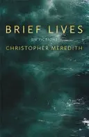 Vidas breves - Brief Lives