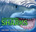 Descubriendo a los tiburones - Discovering Sharks