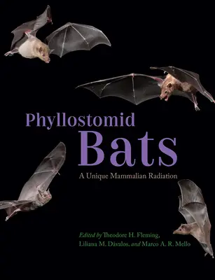 Murciélagos filostómidos: una radiación mamífera única - Phyllostomid Bats: A Unique Mammalian Radiation