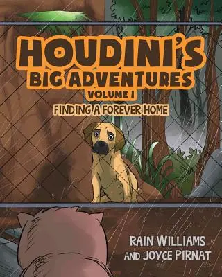 Las grandes aventuras de Houdini Encontrar un hogar para siempre - Houdini's Big Adventures: Finding a Forever Home