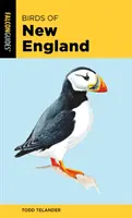 Aves de Nueva Inglaterra - Birds of New England