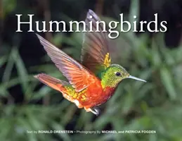 Colibríes - Hummingbirds