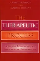 El proceso terapéutico: Una introducción clínica a la psicoterapia psicodinámica - The Therapeutic Process: A Clinical Introduction to Psychodynamic Psychotherapy