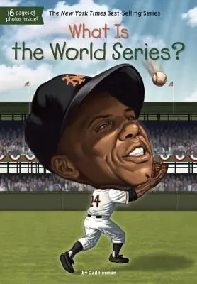 ¿Qué son las Series Mundiales? - What Is the World Series?