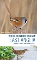 Dónde ver aves en East Anglia: Cambridgeshire, Norfolk y Suffolk - Where to Watch Birds in East Anglia: Cambridgeshire, Norfolk and Suffolk