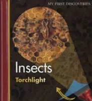 Insectos - Insects