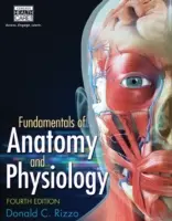 Fundamentos de anatomía y fisiología - Fundamentals of Anatomy and Physiology