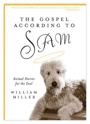 El Evangelio según Sam: Historias de animales para el alma - The Gospel According to Sam: Animal Stories for the Soul