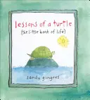 Lecciones de una tortuga: (El pequeño libro de la vida) - Lessons of a Turtle: (The Little Book of Life)