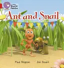 Hormiga y Caracol - Ant and Snail