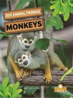 Monos - Monkeys