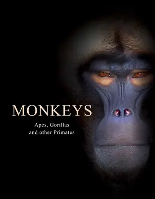 Monos: Monos, gorilas y otros primates - Monkeys: Apes, Gorillas and Other Primates