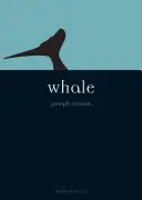 Ballena - Whale