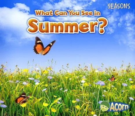 ¿Qué se ve en verano? - What Can You See in Summer?