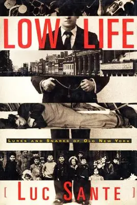 Low Life: Señuelos y trampas del viejo Nueva York - Low Life: Lures and Snares of Old New York