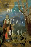 Despertar, soñar, ser: El yo y la conciencia en la neurociencia, la meditación y la filosofía - Waking, Dreaming, Being: Self and Consciousness in Neuroscience, Meditation, and Philosophy