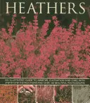 Brezos: Guía ilustrada de variedades, cultivo y cuidados, con instrucciones paso a paso y más de 160 hermosas fotografías. - Heathers: An Illustrated Guide to Varieties, Cultivation and Care, with Wtep-By-Step Instructions and Over 160 Beautiful Photogr