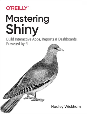 Mastering Shiny: Build Interactive Apps, Reports, and Dashboards Powered by R