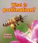 ¿Qué es la polinización? - What Is Pollination?