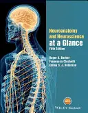 Neuroanatomía y Neurociencia de un vistazo - Neuroanatomy and Neuroscience at a Glance