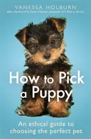 Cómo elegir un cachorro: Guía ética para elegir la mascota perfecta - How to Pick a Puppy: An Ethical Guide to Choosing the Perfect Pet