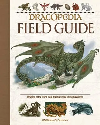 Guía de campo de la Dracopedia: Dragones del mundo desde Amphipteridae hasta Wyvernae - Dracopedia Field Guide: Dragons of the World from Amphipteridae Through Wyvernae