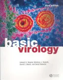 Virología básica - Basic Virology