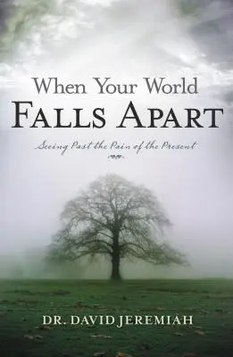 Cuando tu mundo se desmorona: Ver más allá del dolor del presente - When Your World Falls Apart: See Past the Pain of the Present