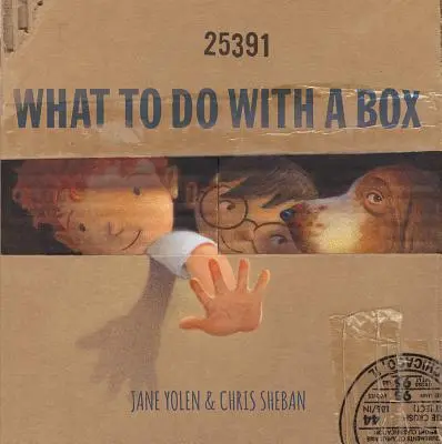 Qué hacer con una caja - What to Do with a Box