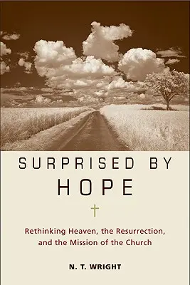 Sorprendidos por la esperanza: Repensar el cielo, la resurrección y la misión de la Iglesia - Surprised by Hope: Rethinking Heaven, the Resurrection, and the Mission of the Church