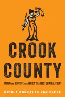 Crook County: Racismo e injusticia en el mayor tribunal penal de Estados Unidos - Crook County: Racism and Injustice in America's Largest Criminal Court