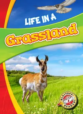 La vida en una pradera - Life in a Grassland