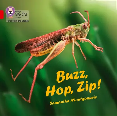 ¡Buzz, Hop, Zip! Libro Grande - Banda 02a/Rojo a - Buzz, Hop, Zip! Big Book - Band 02a/Red a