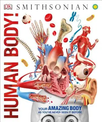 El Cuerpo Humano - Human Body!