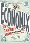 Economix: Cómo funciona (y no funciona) nuestra economía, en palabras e imágenes - Economix: How Our Economy Works (and Doesn't Work), in Words and Pictures