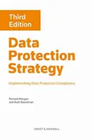 Estrategia de protección de datos: Cumplimiento de la normativa de protección de datos - Data Protection Strategy: Implementing Data Protection Compliance