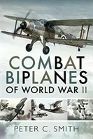 Biplanos de combate de la Segunda Guerra Mundial - Combat Biplanes of World War II