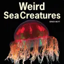 Extrañas criaturas marinas - Weird Sea Creatures