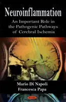 Neuroinflamación: un papel importante en las vías patogénicas de la isquemia cerebral - Neuroinflammation - An Important Role in the Pathogenic Pathways of Cerebral Ischemia