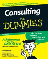 Consultoría para Dummies - Consulting for Dummies