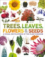 Nuestro mundo en imágenes: Árboles, hojas, flores y semillas - Our World in Pictures: Trees, Leaves, Flowers & Seeds