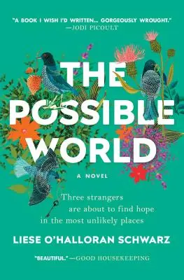 El mundo posible - The Possible World
