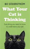 Lo que piensa su gato - What Your Cat Is Thinking