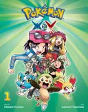 Pokmon X-Y, Vol. 1, 1