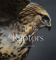 Rapaces: Retratos de aves rapaces (Libro de fotografía de aves) - Raptors: Portraits of Birds of Prey (Bird Photography Book)