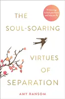 Las Virtudes de la Separación que elevan el Alma - 111 Aprendizajes para Sanar tu Corazón y Ayudarte a Volar - Soul-Soaring Virtues of Separation - 111 Learnings to Heal Your Heart and Help You Fly